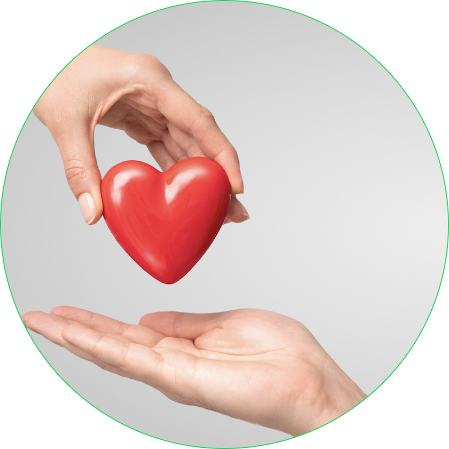 91f70a1d5e26f7901b921fbbad763318fcf2e629-donateo