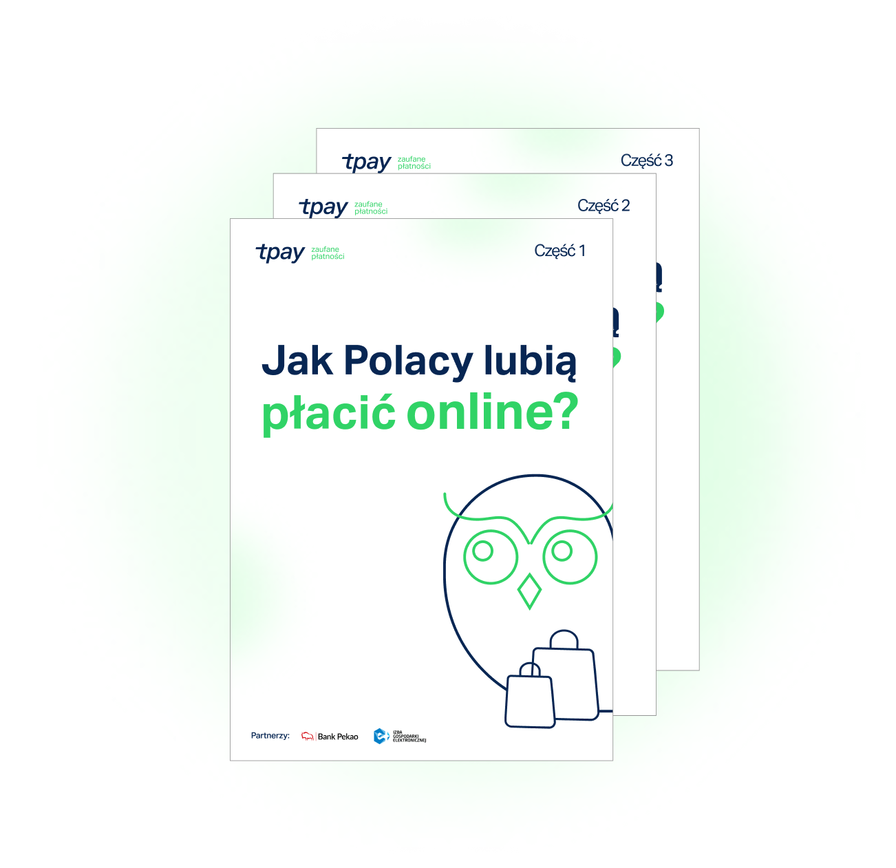 eaaf35dc0c0fdcfbced3fe058284d21acdc0476b-naglowek-raport-tpay-min