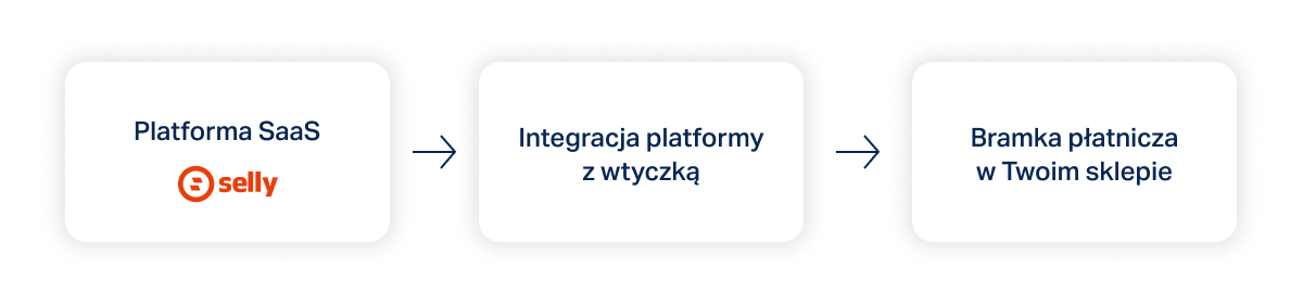 platforma-saas-selly