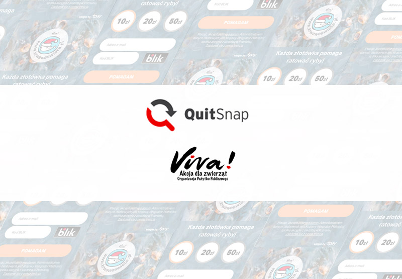 tpay-aktualnosci-quitsnap_