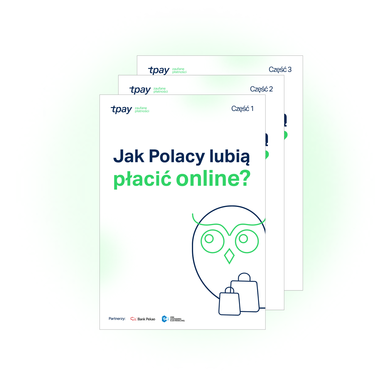 naglowek-raport-tpay-min